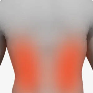 Vonoya Massage Chair With SL Track 22 Nodes And Heating