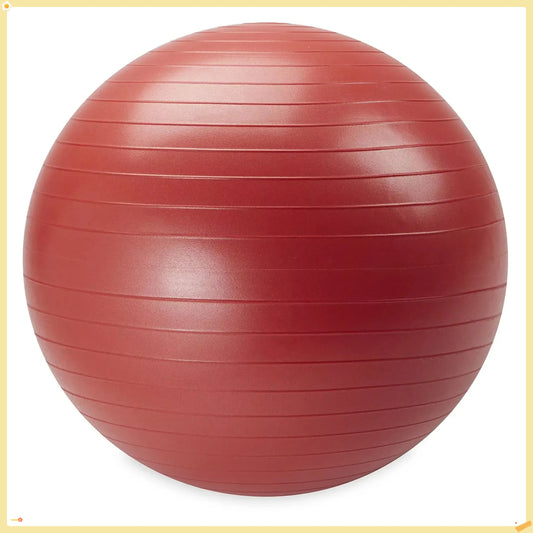 Home Gym Weighted Stability Ball 55-75CM, Anti-Burst with Pump for Balance Core Training & Exercise Workouts