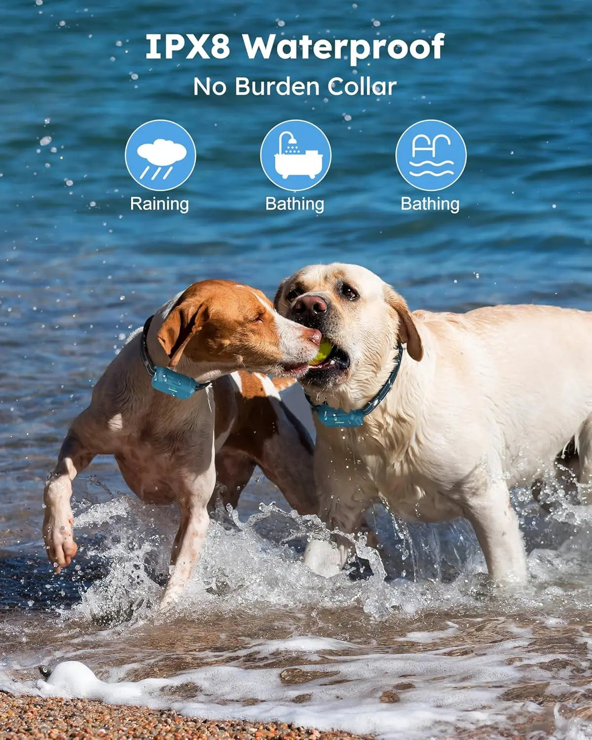 Remote Dog Training Collar, IPX8 Waterproof, Rechargeable, 4 Modes