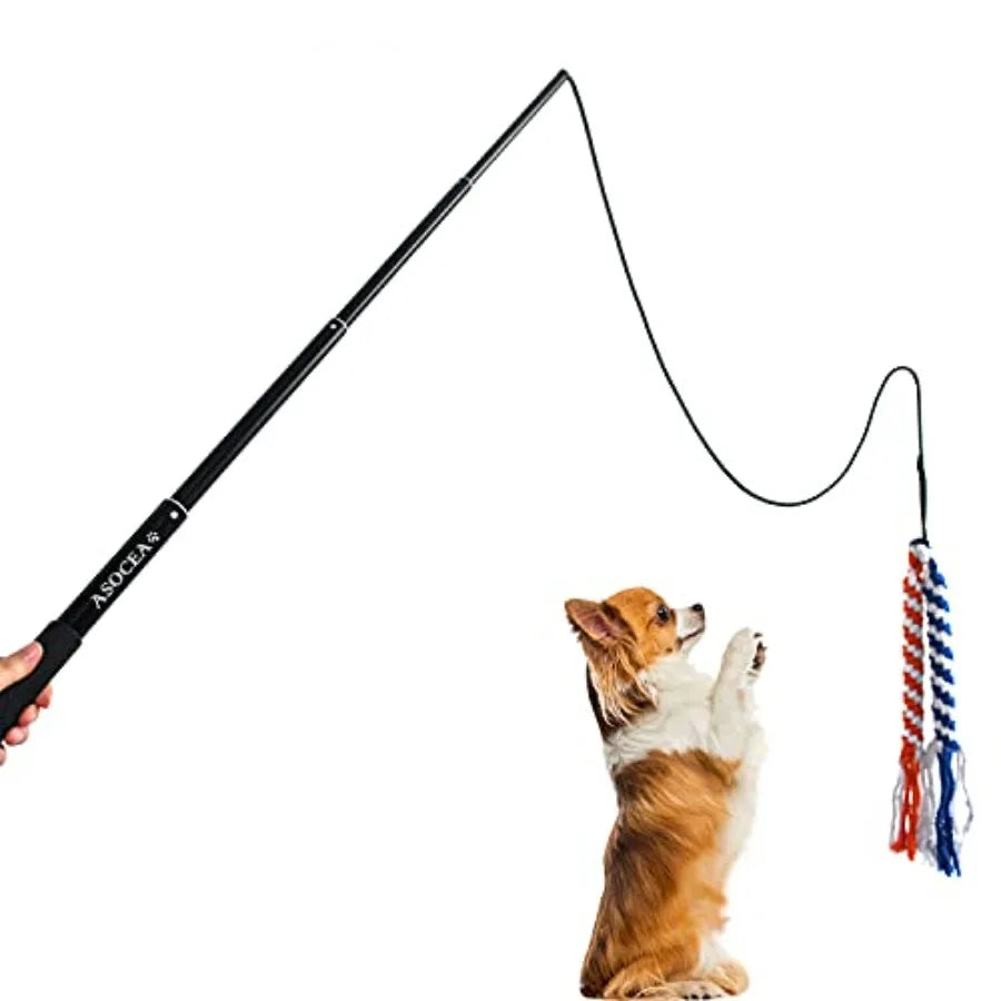 Extendable Dog Teaser Wand Flirt Pole Interactive Training Toy