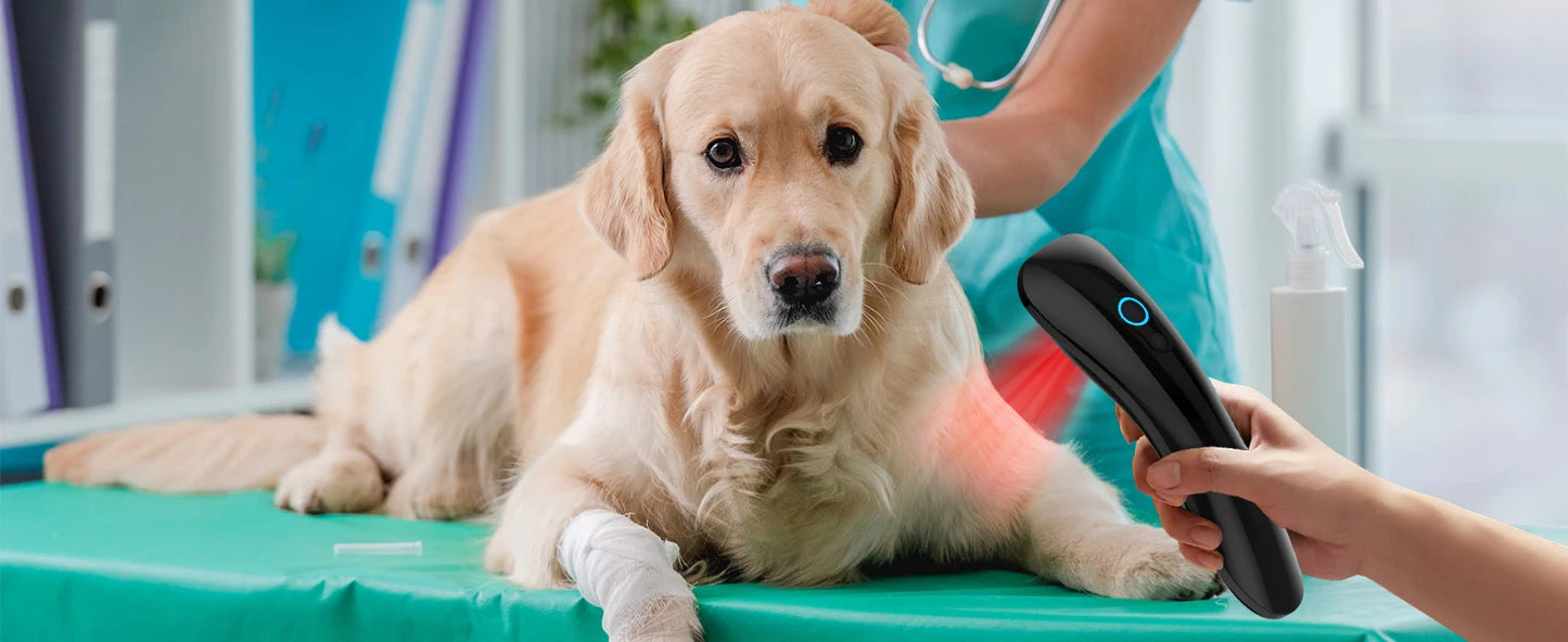 KTSElectronic Portable LLLT Therapy For Body Pain Relief And Recovery