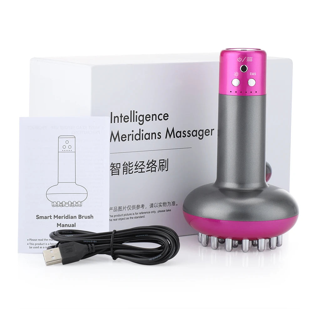 PASTSKY Electric Meridian Brush Scrapping Microcurrent Massage Device
