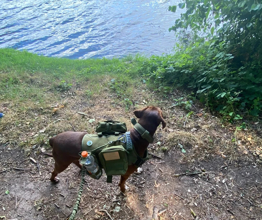 Tactical Padded Nylon Dog Harness Vest For Training