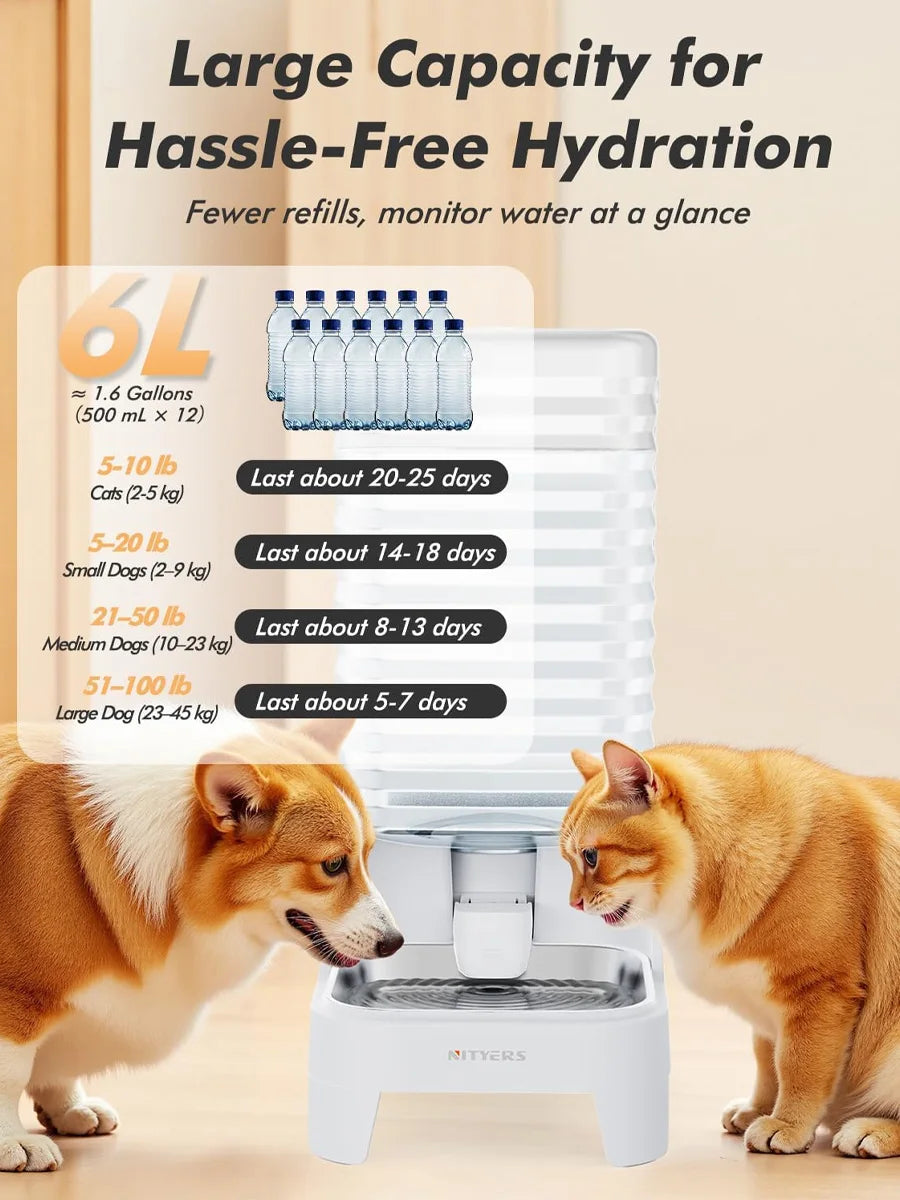NITYERS Gravity Fed Pet Water Dispenser With Stainless Steel Bowl