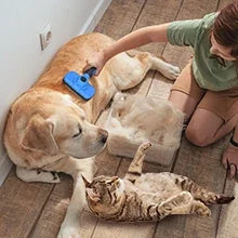 Self Cleaning Slicker Brush for Dogs & Cats Skin Friendly Grooming Deshedding, Hair Removal for Puppies & Long/Short Haired Pets